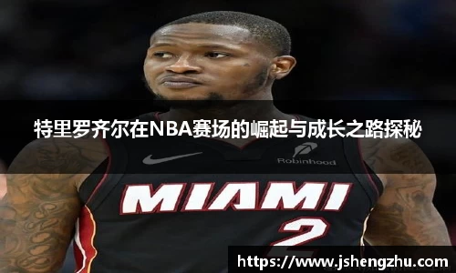 特里罗齐尔在NBA赛场的崛起与成长之路探秘