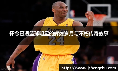 德赢AC米兰合作伙伴